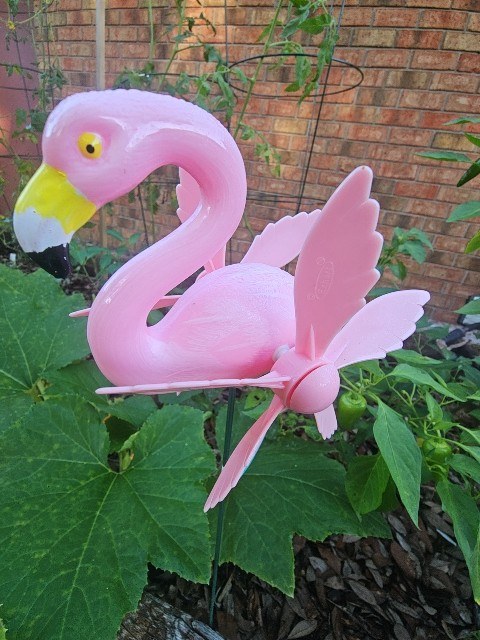 Pink flamingo